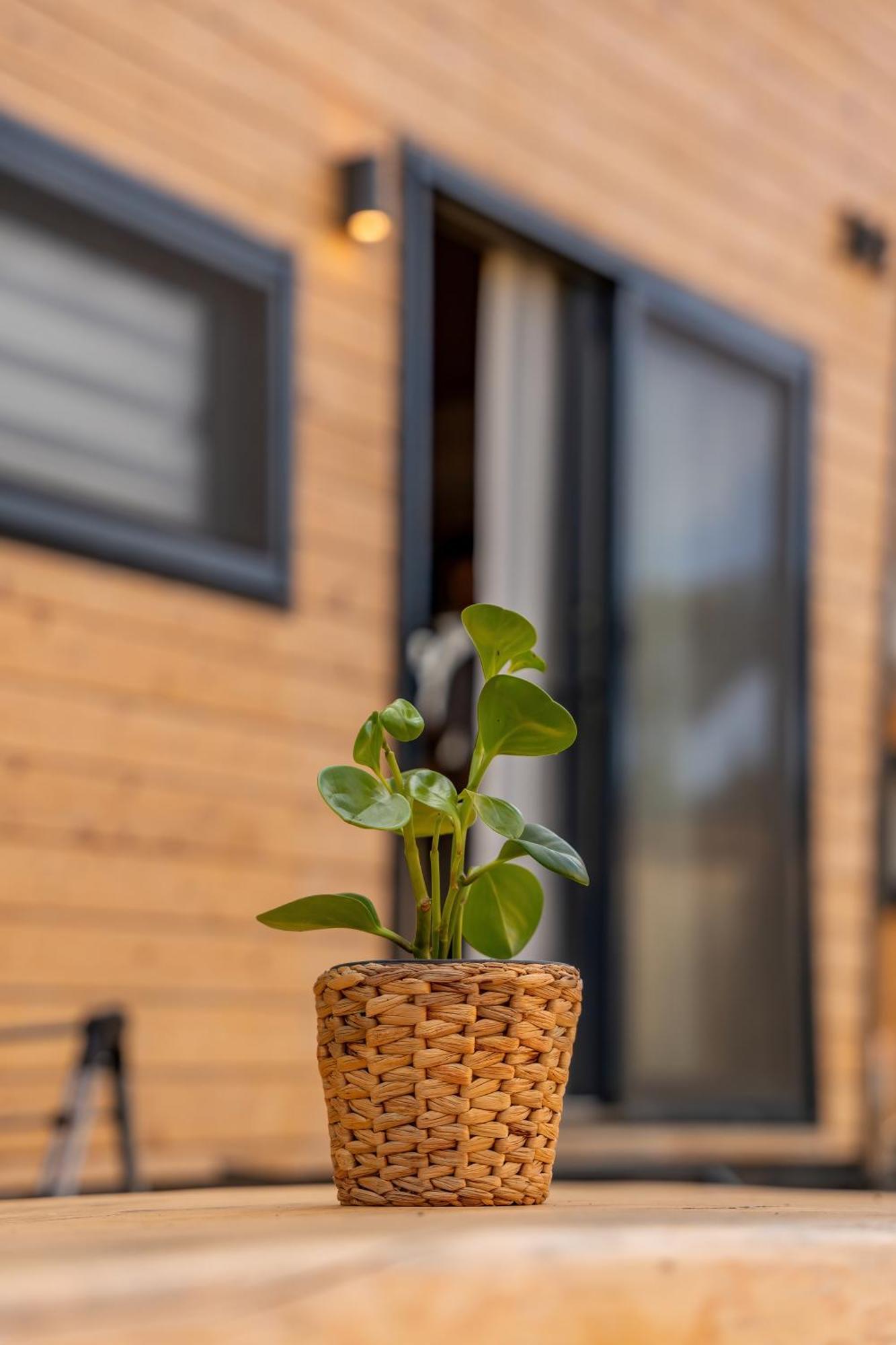 Gaia Tiny Houses Butik Hotel Bodrum Exterior foto